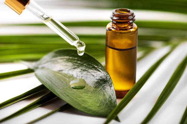 Tea tree oil: The scalp’s best friend