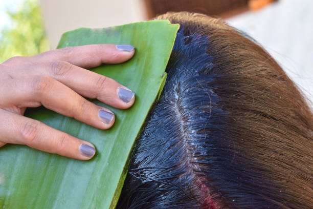 Aloe Vera: The Soothing Hydrator
