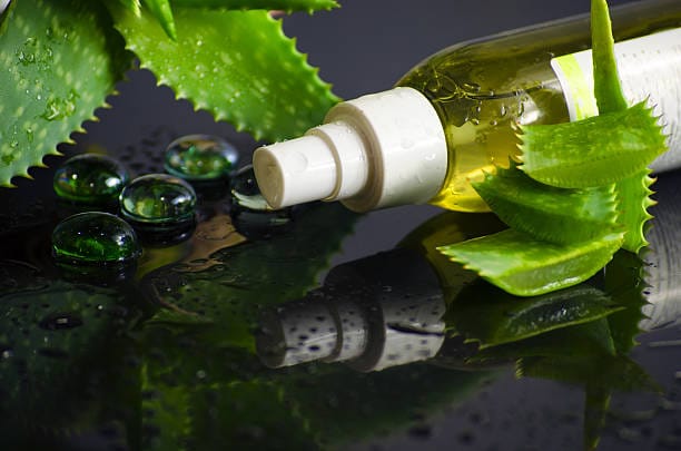Can aloe vera shampoo help deal with dandruff?